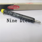 Echte Diesel van Delphi Injecteur, Diesel van Delphi Brandstofinjectorsjcb Graafwerktuig