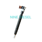 9308-625C Diesel van klepdelphi Injecteurs Gemeenschappelijk Spoor 28236381 33800-4A700